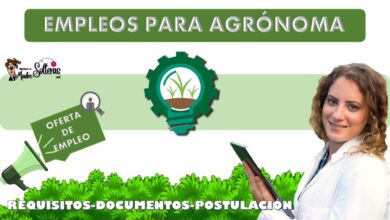 Bolsa de Trabajo: Empleos para agrónoma 2022-2023