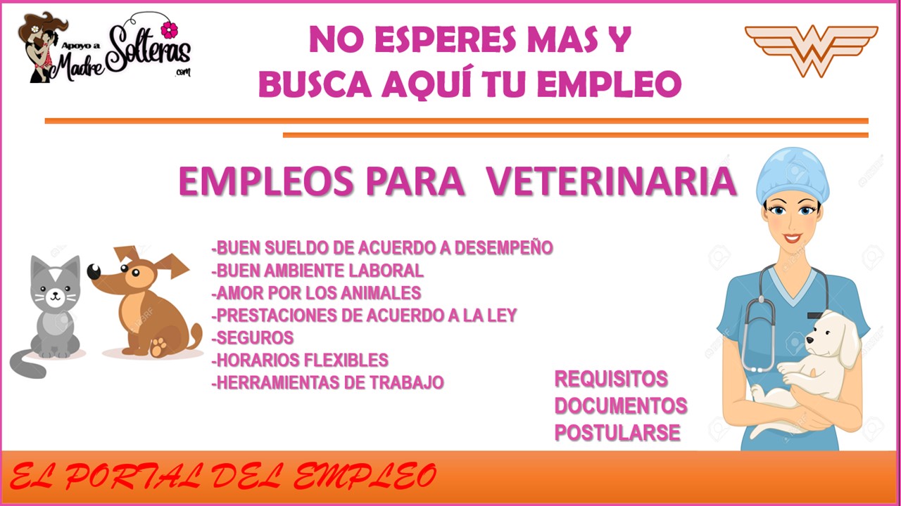 ▷ Empleos para veterinaria » 2021 Apoyos a Madres Solteras 🥇 empleos-para-veterinaria