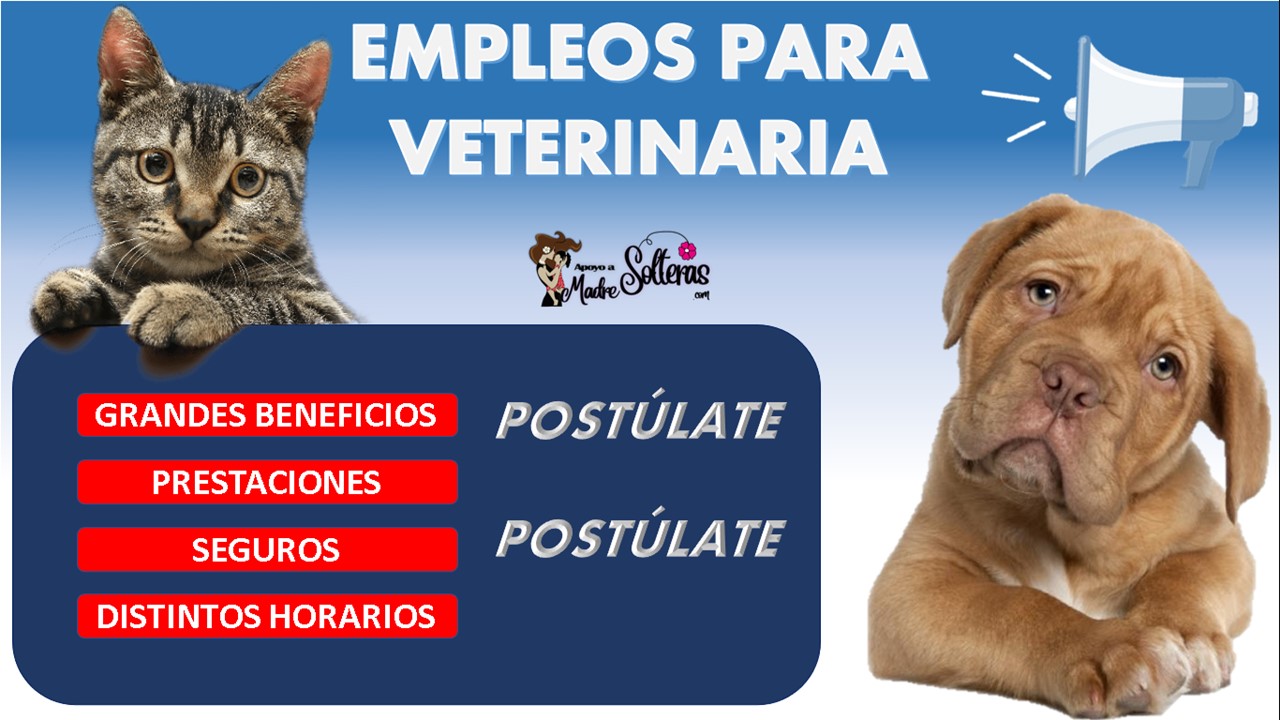 Bolsa de Trabajo: Empleos para veterinaria 2022-2023