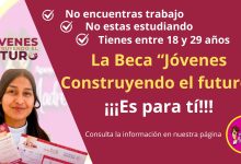 ¿No estudias ni trabajas? ¿Tienes entre 18 y 29 años? La beca Jovenes escribiendo el futuro es para tí