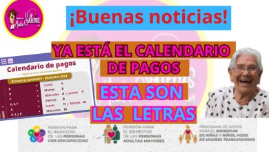 "¡Atención! 📅 Calendario de Pagos Noviembre-Diciembre para Programas de Apoyo: Adulto Mayor, Personas con Discapacidad y Madres Trabajadoras 👵💪👩‍👧‍👦"