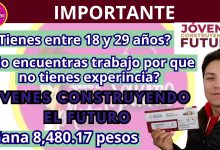 Tu futuro profesional empieza hoy. 🌟 Con "Jóvenes Construyendo el Futuro", puedes encontrar empleo y crecer. ¡No dejes pasar esta oportunidad! 💼🚀