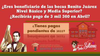 ¿Eres beneficiario de las becas Benito Juárez Nivel Básico y Media Superior?