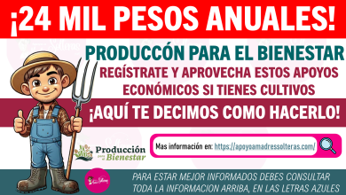 Producción para el Bienestar: Regístrate y aprovecha estos apoyos económicos si tienes cultivos